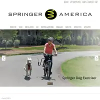 Springer America Inc