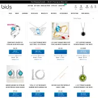 Best Online Auctions - Bids.com