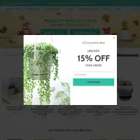 Live Succulents for Sale Online | Succulents Box®